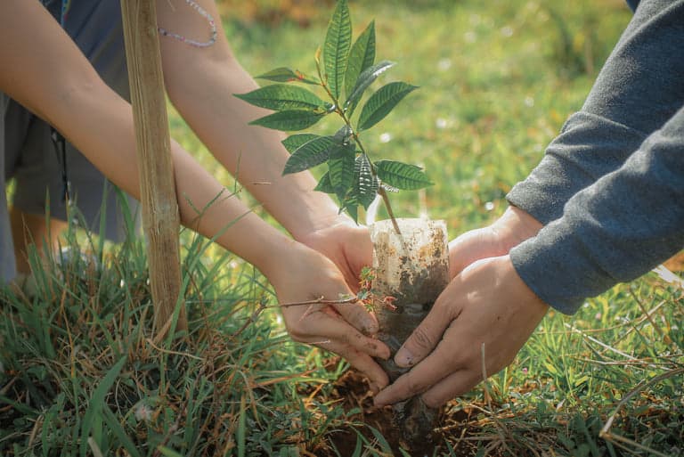 CHEDV participates in the 16th Alay Lakad, Tanim Kahoy Para Sa Puso 2022